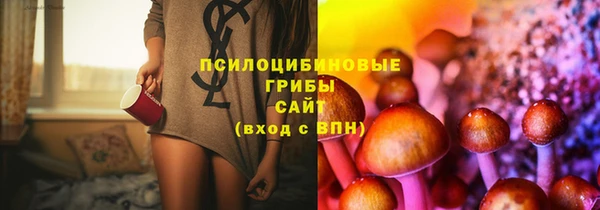 spice Армянск