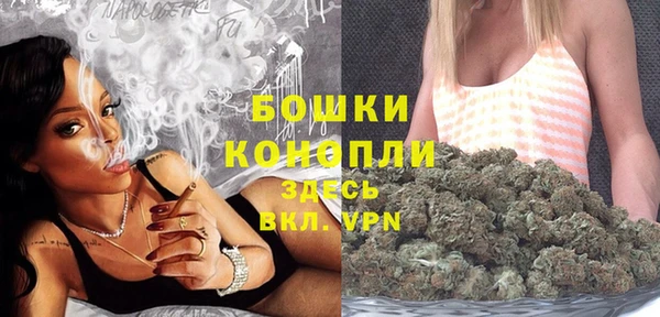 бошки Аркадак