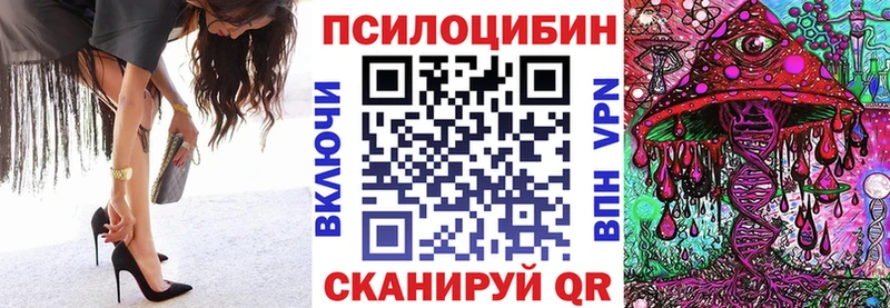 Галлюциногенные грибы MAGIC MUSHROOMS  Купить закладки  Тогучин 